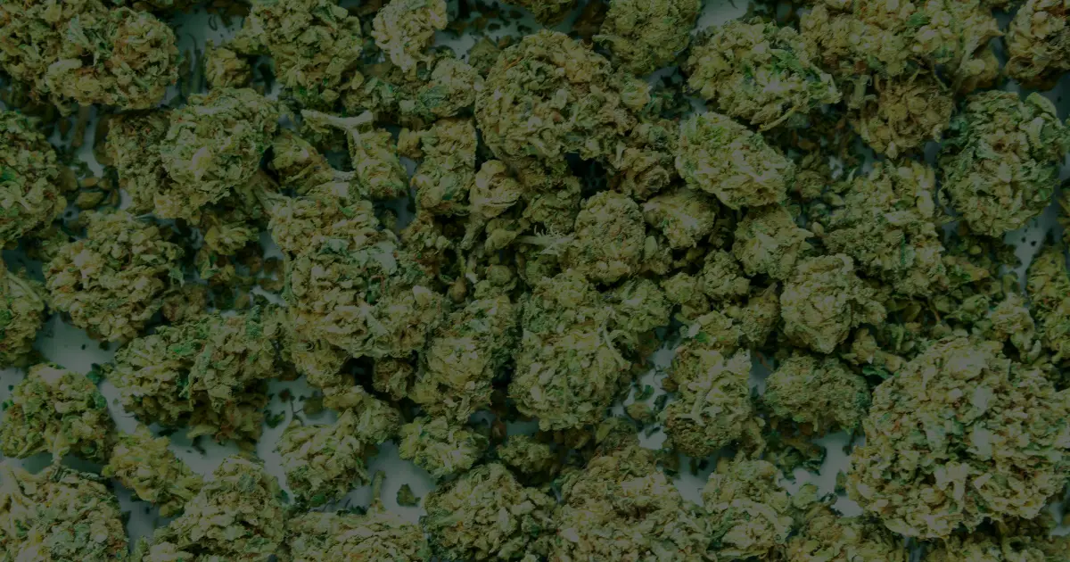 Cannabis flower